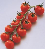 Les Tomates Cerises
