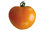 Tomate ronde de couleur "Orange Queen"
