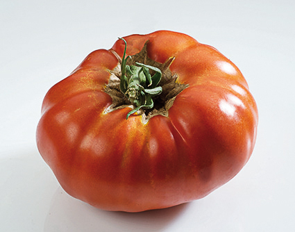 Tomate charnue "Russe Rouge"